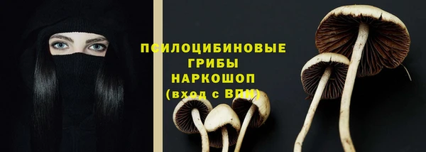 спайс Майский