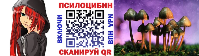 Псилоцибиновые грибы Cubensis  наркота  Волгодонск 